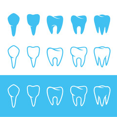 teeth. human dentition teeth, human tooth anatomy chart, diagram teeth illustration