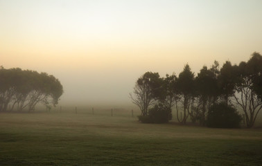Obraz na płótnie Canvas Misty morning