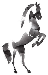 black and white monochrome painting with water and ink draw horse illustration © Turaev