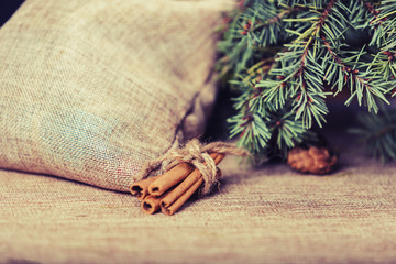 Christmas concept with cinnamon sticks