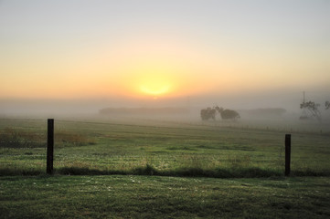 Misty morning