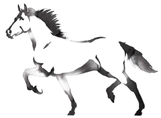 black and white monochrome painting with water and ink draw horse illustration