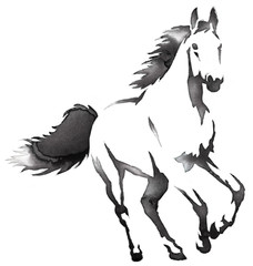 black and white monochrome painting with water and ink draw horse illustration © Turaev