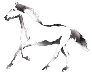 black and white monochrome painting with water and ink draw horse illustration © Turaev