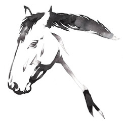black and white monochrome painting with water and ink draw horse illustration © Turaev