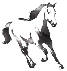 black and white monochrome painting with water and ink draw horse illustration © Turaev