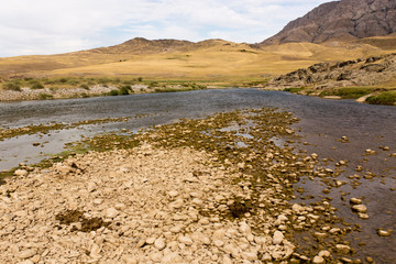 stones in the river in nature