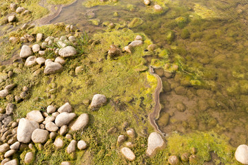stones in the river in nature
