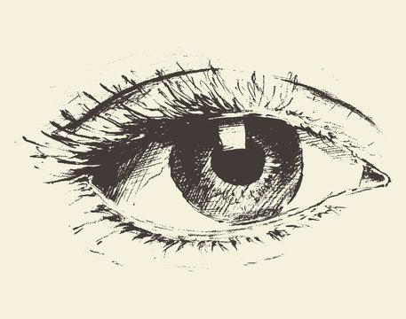 Vintage illustration of an eye hand drawn, sketch