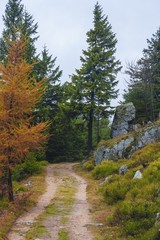 Fototapeta na wymiar Trail in Polish part of Jizera Mountains - autumn