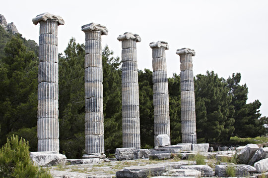 s&uuml;tun