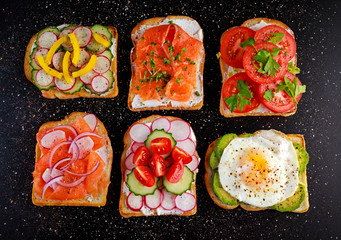 Variety of vegetarian toast sandwiches with salmon, raddish, tomatoes, cucumber, avocado,fried egg and sweet pepper