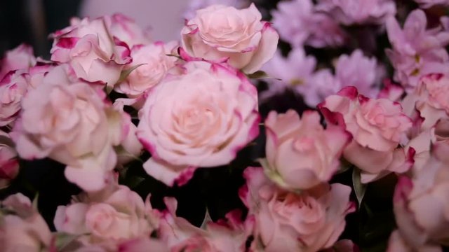 bouquet of Pink roses moving forward