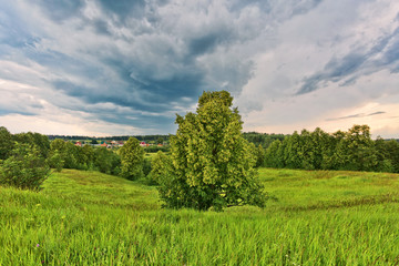 Fototapeta premium gloomy sunset in field