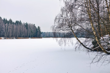 winter landscape