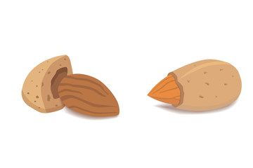 Vector collection of cartoon isolated almond. helthy nuts vegeterian food