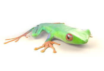 red eyed tree frog from tropical rainforest of Costa Rica isolated on white. Agalychnis callidrias. 3d illustration