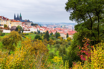 Fototapeta premium Autumn Prague panorama from Prague Hill with Prague Castle, Vltava river and historical architecture. Concept of Europe travel, sightseeing and tourism.