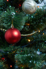 Bright red ball hanging on a Christmas tree. Fluffy green Christmas tree with toys and various decorations.