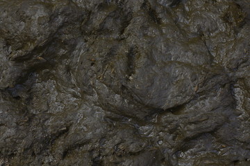 background cow dung