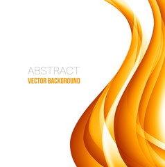 Abstract curved lines background. Template brochure design