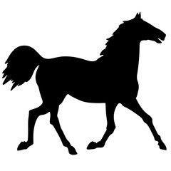 black horse silhouette. Vector animal illustration 