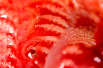red gills of fish as background. macro