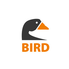 vector bird logo
