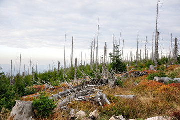Krajobraz górski, Karkonosze. © konik60