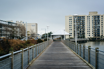 Fototapeta premium Boardwalk over Lake Holly, in Virginia Beach, Virginia.