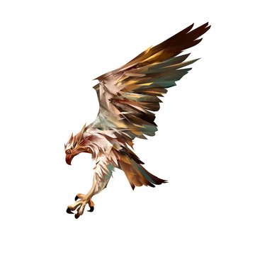 drawn isolated attacking osprey