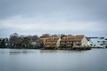 Fototapeta na wymiar Houses along the shore of Lake Holly, in Virginia Beach, Virgini
