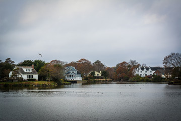 Obraz premium Houses along the shore of Lake Holly, in Virginia Beach, Virgini