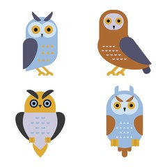 Owl wild bird cartoon vector.