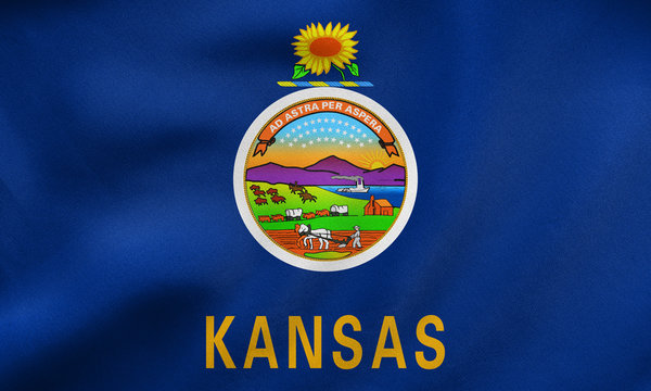 Flag of Kansas waving, real fabric texture