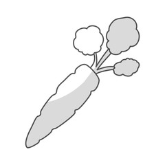 carrot vegetable icon over white background. black and white design. vector illustration