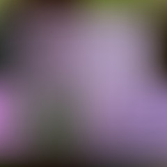 Blooming Rhododendron: pink, green, blue, yellow. Abstract gradi