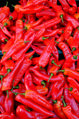 Many sweet red peppers paprika.