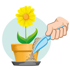 Hand putting sand in the bowl of the pot to fight, Aedes Aegypti mosquito, stilt, dengue. Ideal for informational and institutional related sanitation and care