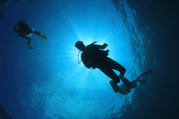Scuba divers diving