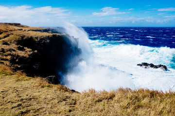 Winds of Hawaii