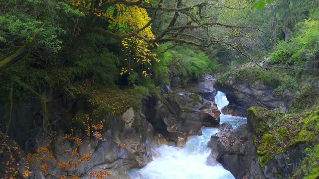 Autumn landscape with mountain river and forest. Nepal.
