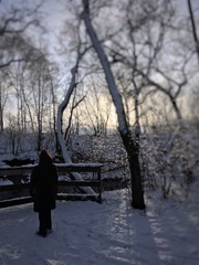 hiver
