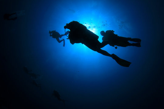 Scuba divers diving on coral reef underwater