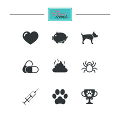 Veterinary, pets icons. Dog paw, syringe and winner cup signs. Pills, heart and feces symbols. Black flat icons. Classic design. Vector