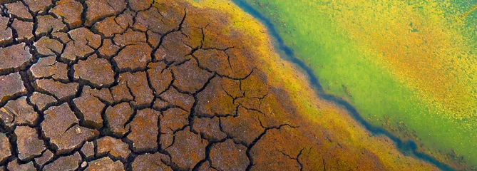 Tuinposter Polluted water and cracked soil during summer drought © Solid photos