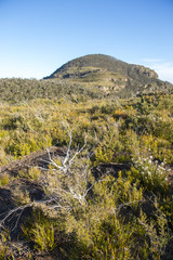 Fototapeta na wymiar Landscape from Blue mountains national park
