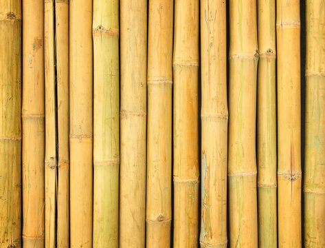 Natural bamboo fence for background