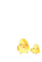 我が家のひよこ2羽