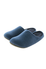 Shoe or Slippers for use in home